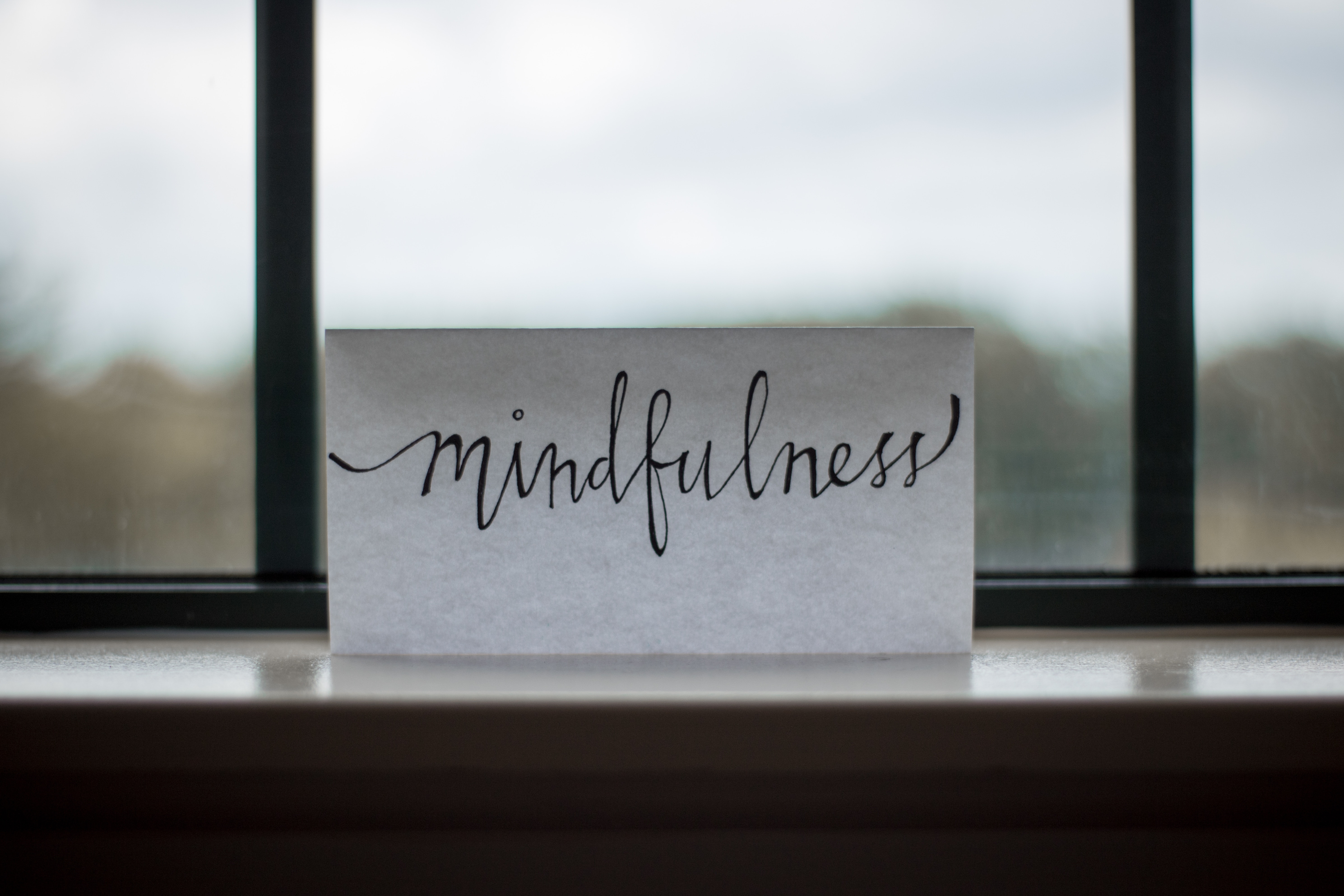 Mindfulness for Life